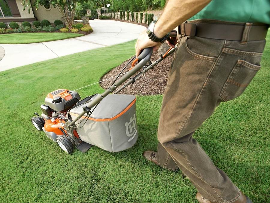 Person mowing a green lawn with a push mower